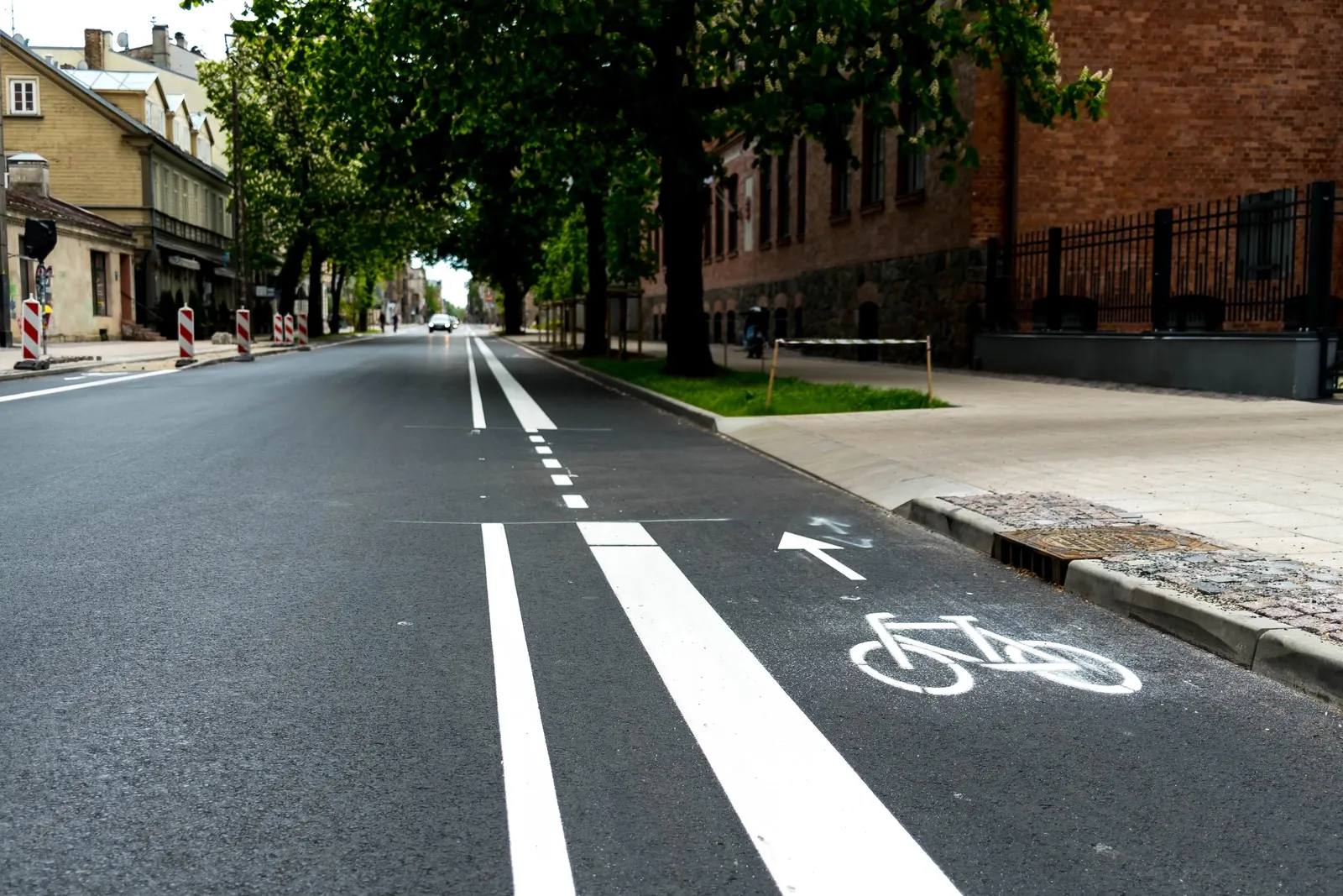A selective focus of a freshly paint bicycle lane on the side of a street